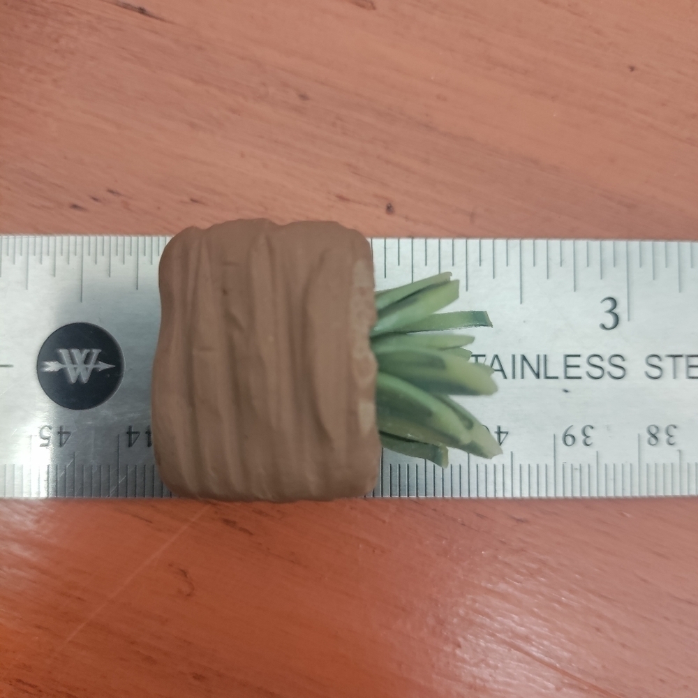 6 Polymer clay & tiger maple potted plants - Picture 11 of 11